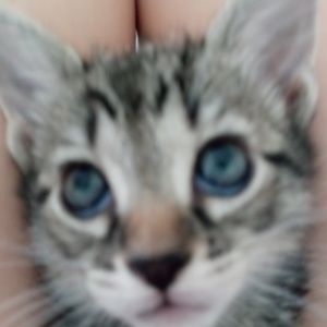 Meet your Posher, Alex